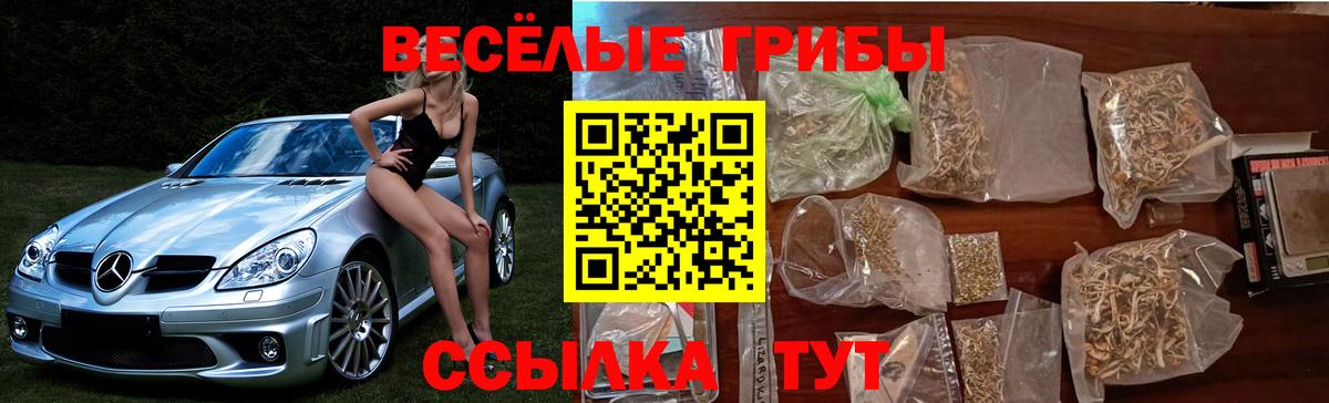 Псилоцибиновые грибы прущие грибы  Псилоцибиновые грибы Cubensis  Вход с VPN  купить закладку  Карталы 